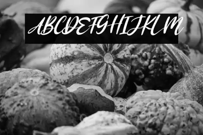 Rosaffina Italic Font examples