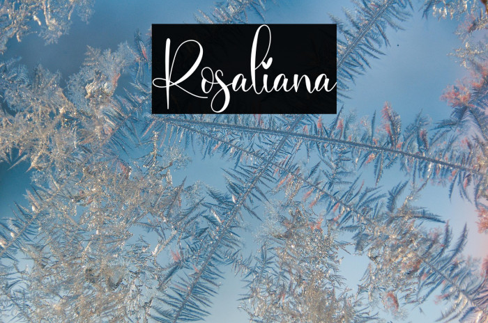 Rosaliana Example 1