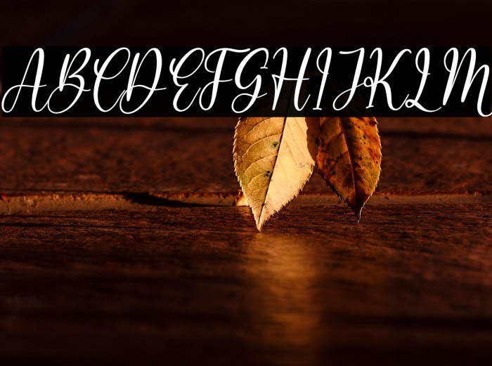 Rosalinda Berlinata Italic Example 2