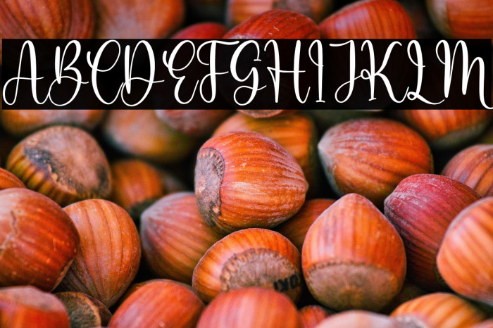 Rosalinda Berlinata Example 2