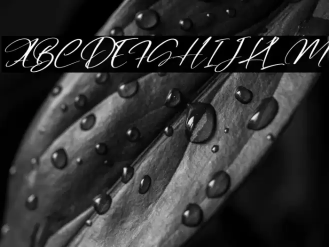 Rosalinda Italic Font examples