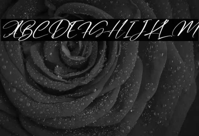 Rosalinda Italic Font examples