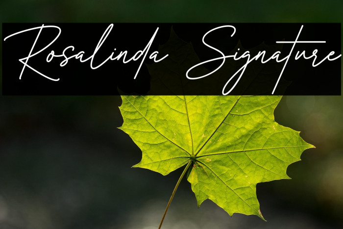 Rosalinda Signature Example 2