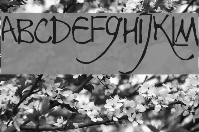 Rosalinde Font examples