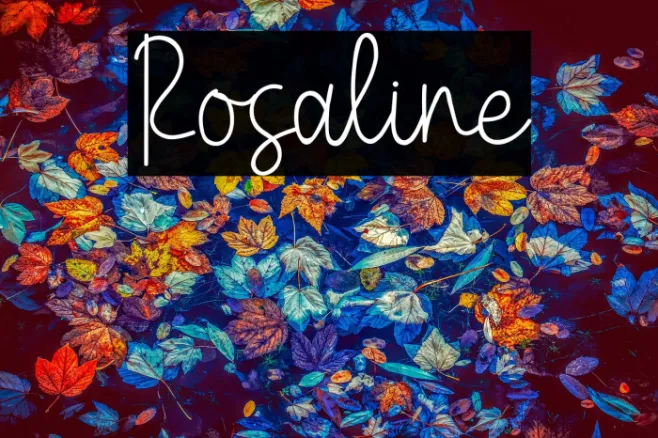 Rosaline Example 1