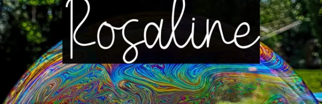 Rosaline Example 3