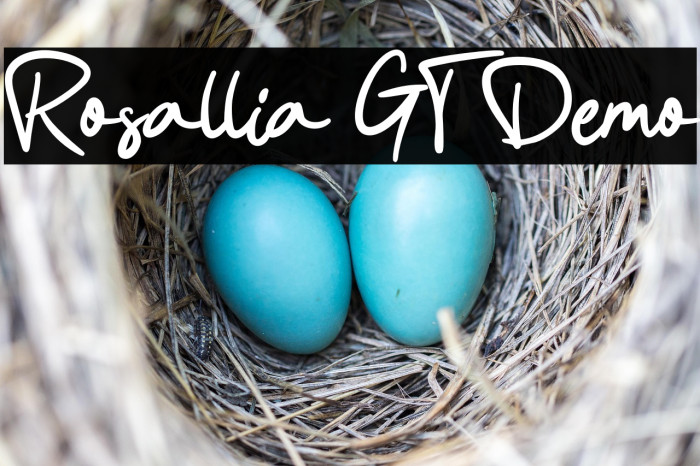 Rosallia GT Demo Example 1