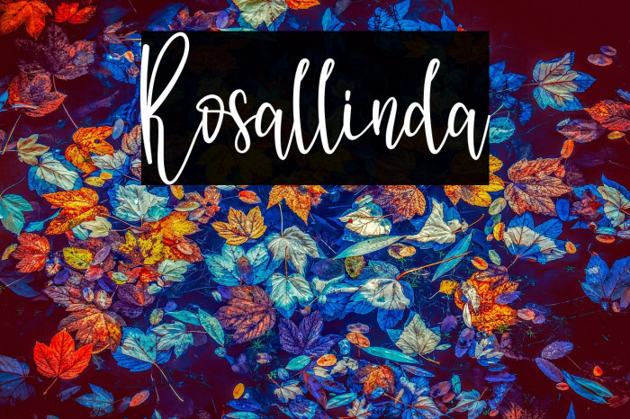 Rosallinda Example 2