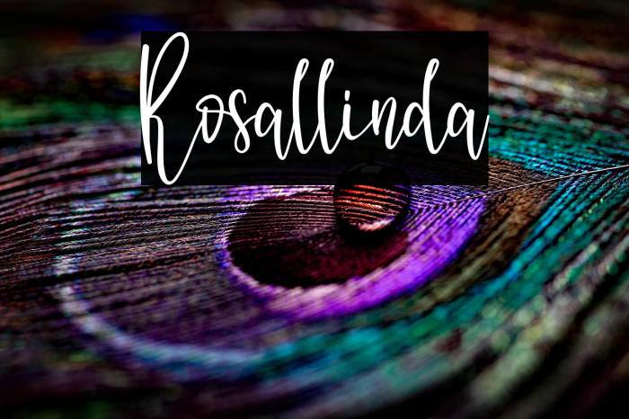 Rosallinda Example 3