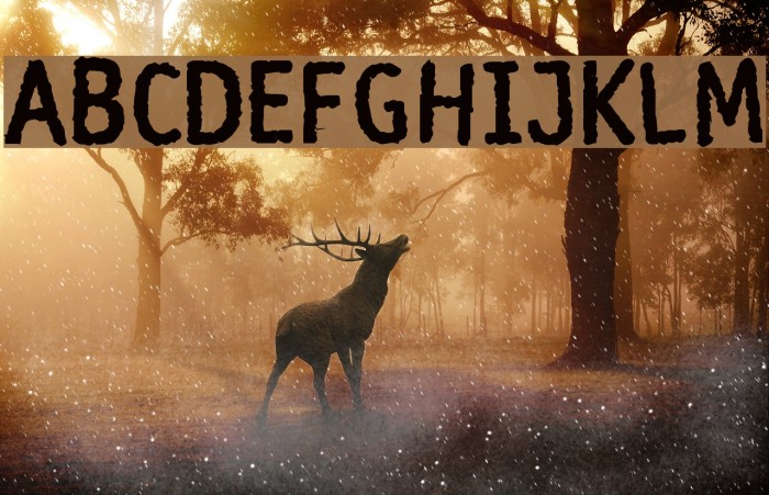 Rosango Bold Font examples