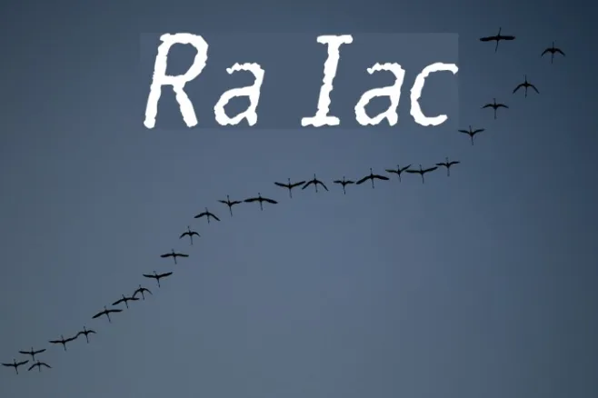 Rosango Italic Example 2