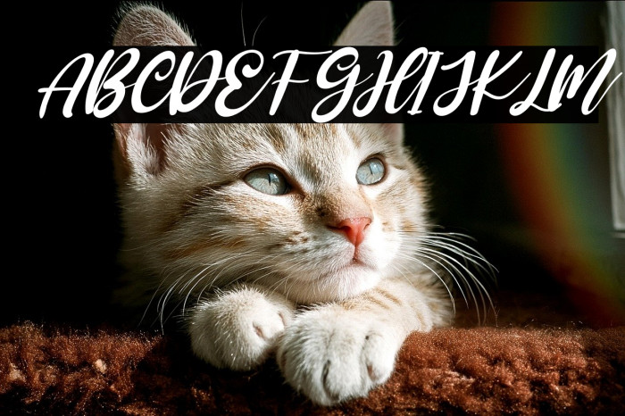 Rosanna Italic Example 1