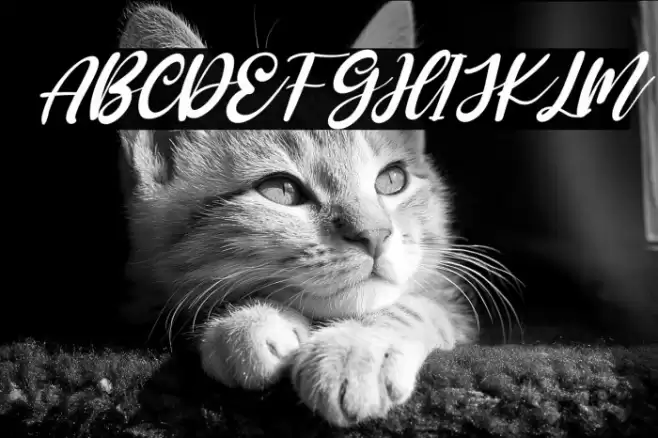 Rosanna Italic Font examples