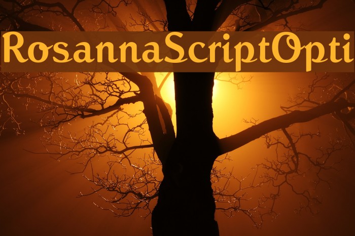 RosannaScriptOpti Font examples