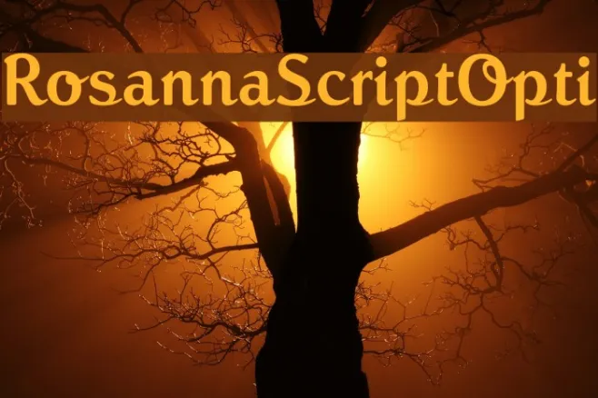 RosannaScriptOpti Example 2
