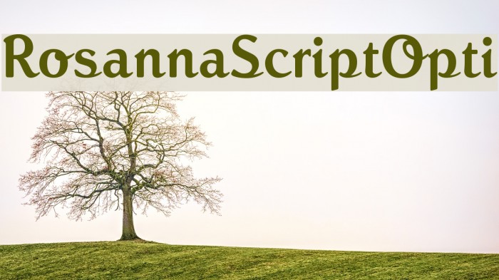 RosannaScriptOpti Font examples