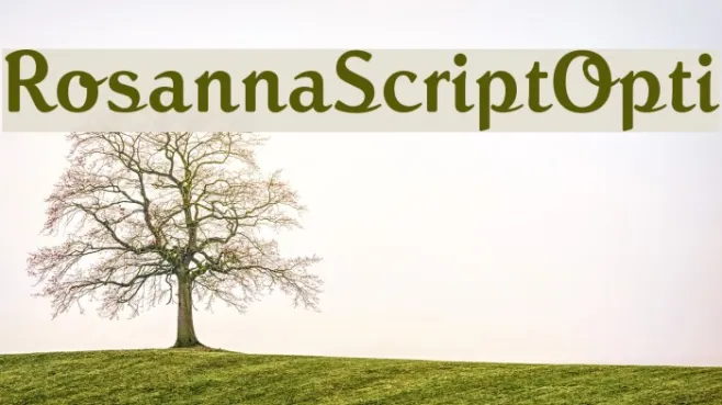 RosannaScriptOpti Example 3
