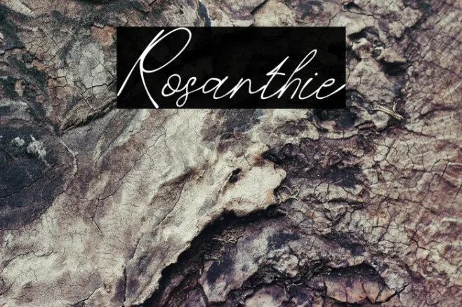 Rosanthie Example 2