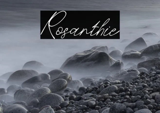 Rosanthie Example 3