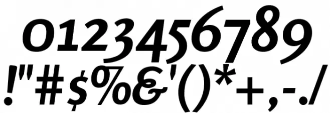 Rosario Bold Italic