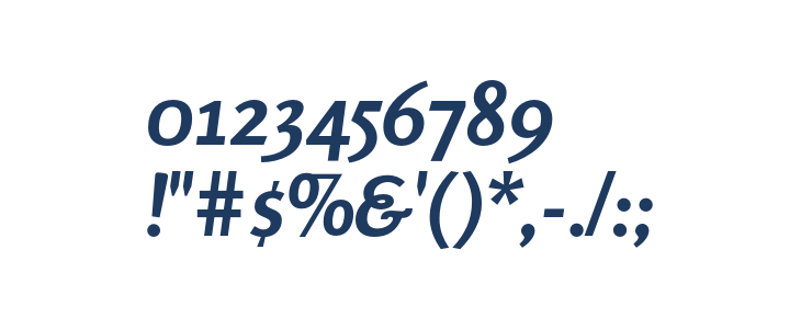Rosario Bold Italic Other Characters