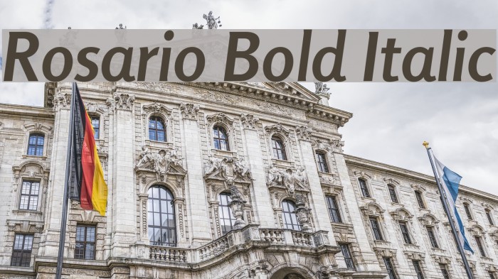Rosario Bold Italic Example 1