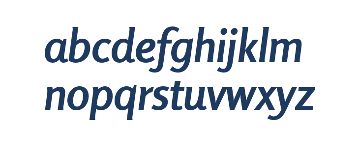 Rosario Bold Italic Lowercase