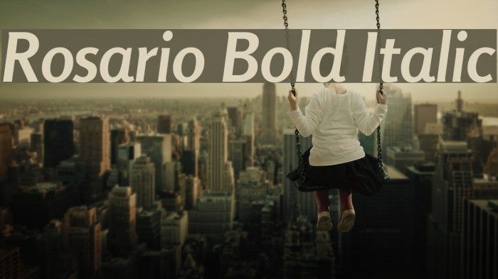 Rosario Bold Italic Font examples