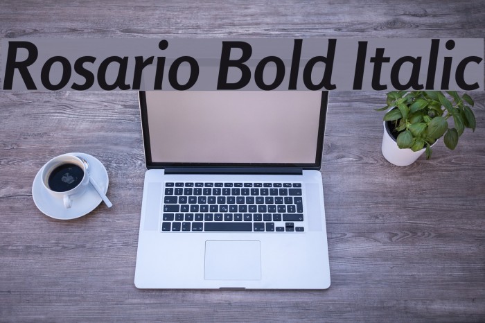 Rosario Bold Italic Font examples