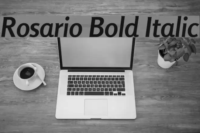 Rosario Bold Italic examples