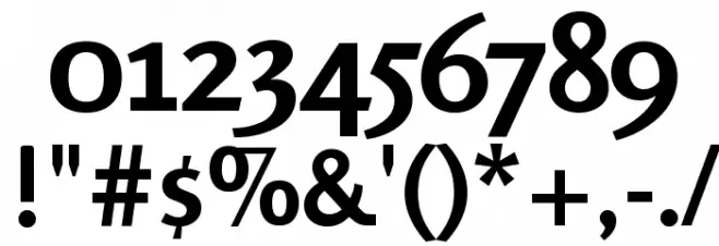 Rosario Bold Font OTHER CHARS