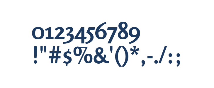 Rosario Bold Other Characters