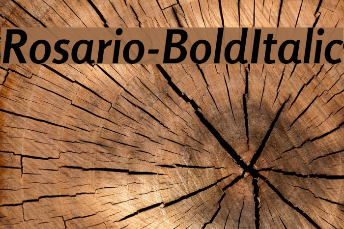Rosario-BoldItalic Font examples