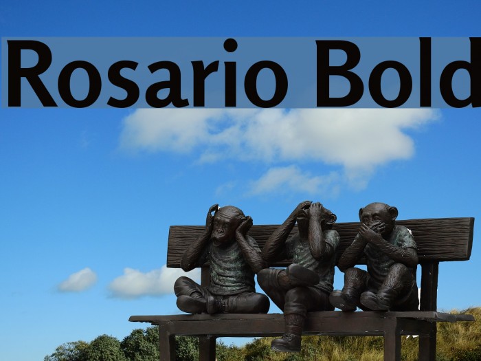 Rosario Bold Font examples