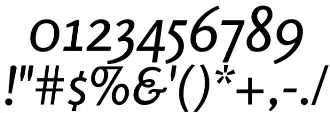 Rosario Italic Font OTHER CHARS