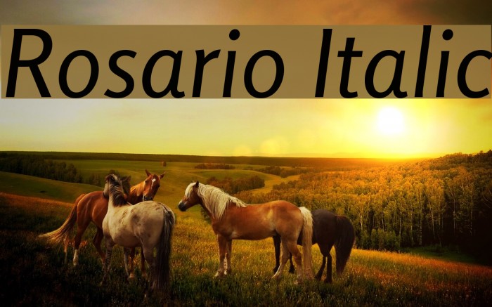 Rosario Italic Font examples