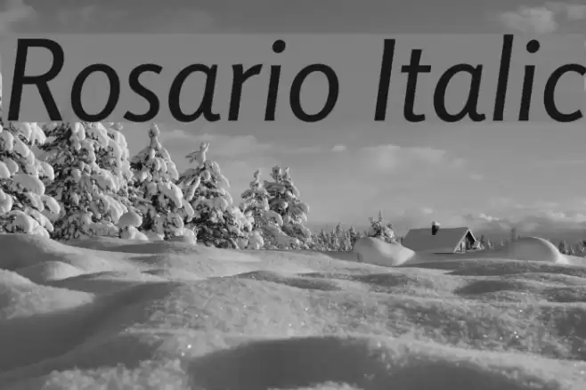 Rosario Italic Font examples