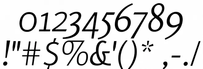 Rosario Light Italic Font OTHER CHARS