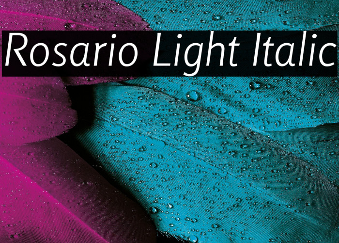 Rosario Light Italic Example 1