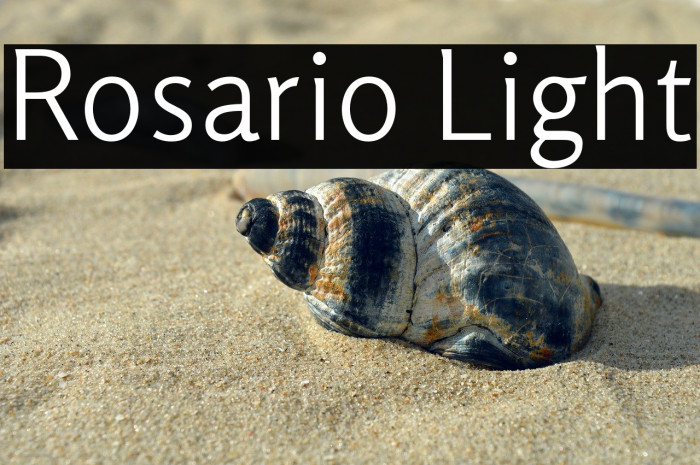 Rosario Light Example 3
