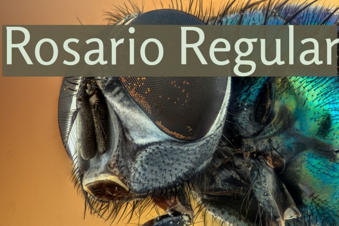 Rosario Regular Font examples