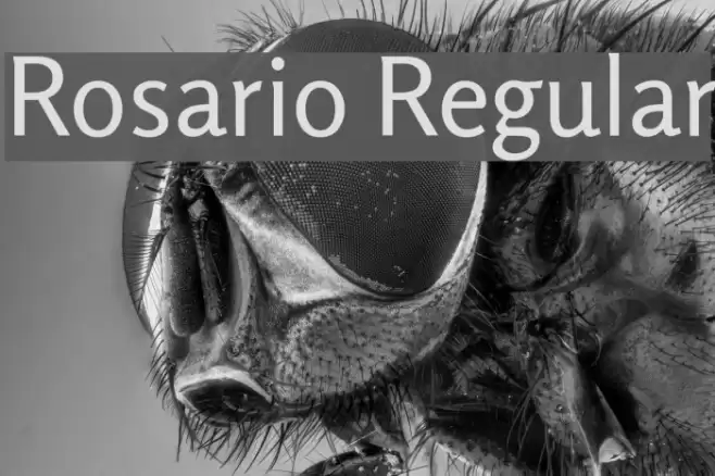 Rosario Regular Font examples