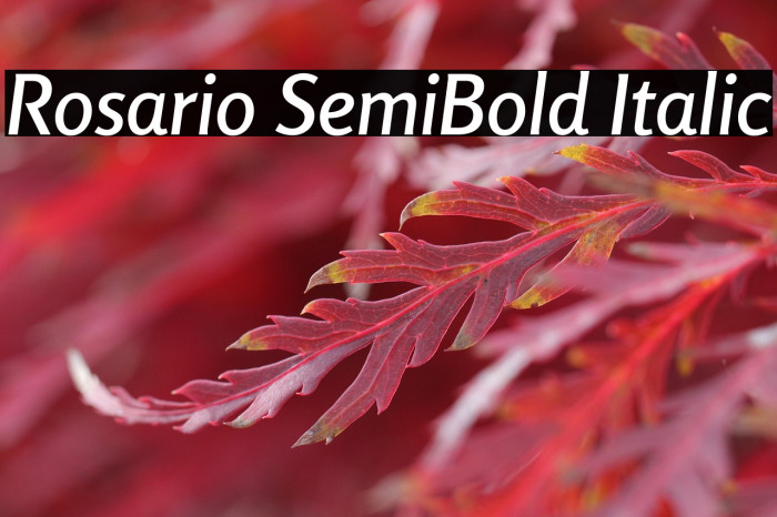 Rosario SemiBold Italic Example 2