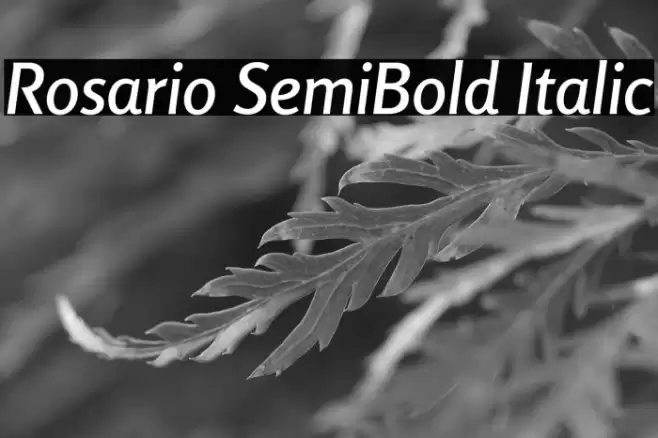 Rosario SemiBold Italic Font examples