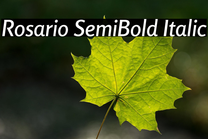 Rosario SemiBold Italic Example 3