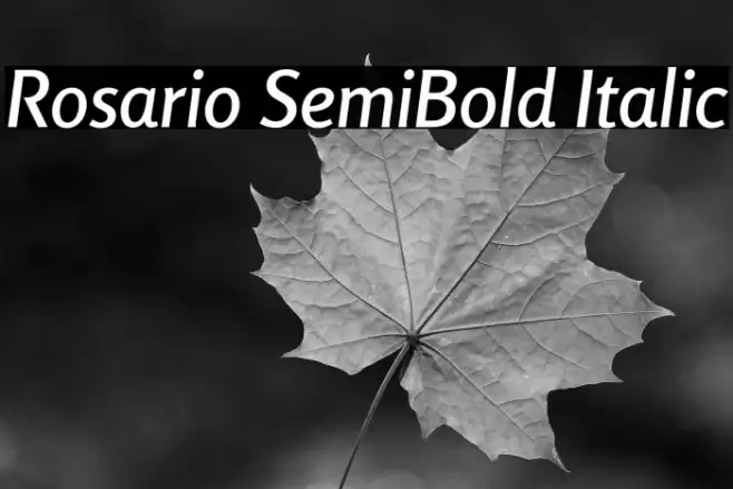 Rosario SemiBold Italic Font examples