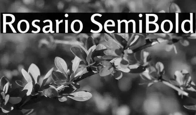 Rosario SemiBold Font examples