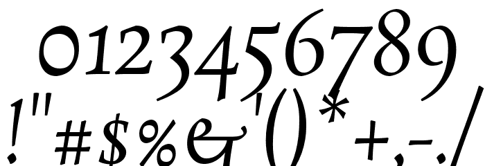 Rosarivo Italic Font OTHER CHARS