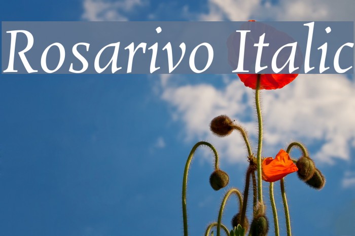Rosarivo Italic Font examples