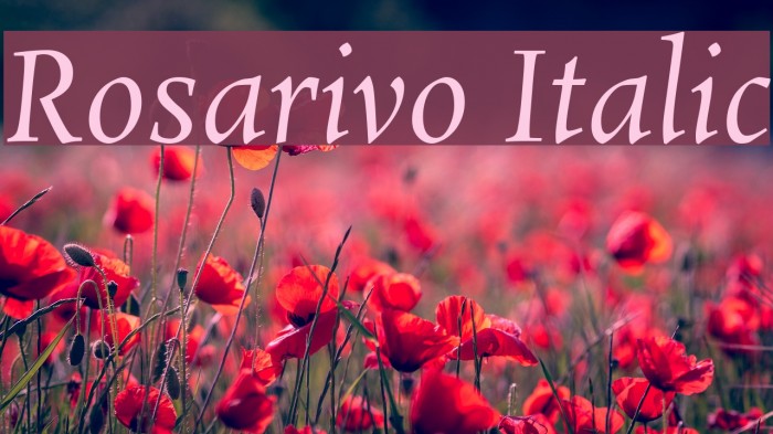 Rosarivo Italic Font examples